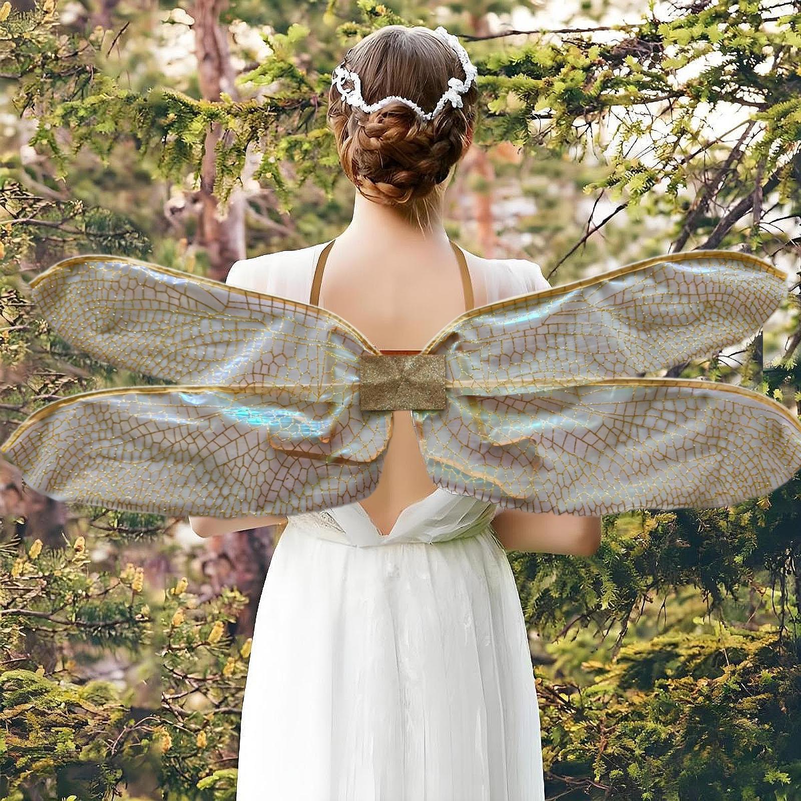 Fairy Dragonfly Wings for Kids - Anime Cosplay Photo 评论和价格